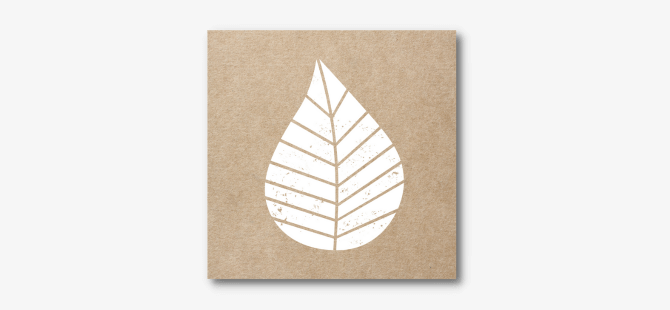 Graphic Leaves Party-Set