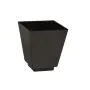 Fingerfood-Schalen eckig, 50 ml schwarz - Bild 1 thumbnail
