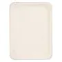 Servierplatten aus Zuckerrohr eckig "pure" 26 x 35 cm weiss - Bild 1 thumbnail
