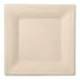 Zuckerrohr Teller eckig "pure" 26 x 26 cm natur - Bild 1 thumbnail
