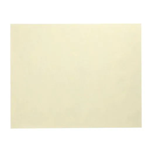 Vlies Tischsets, creme "soft selection" 30 x 40 cm - Bild 1