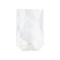 Bodenbeutel, PP 15 x 10 x 3,5 cm transparent