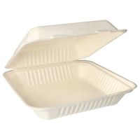 Menüboxen aus Zuckerrohr "pure" ungeteilt 8 x 25,5 x 25,5 cm