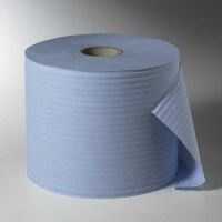 Putzrollen, 2-lagig 380 m x 22 cm blau, perforiert - 1.000 Abrisse