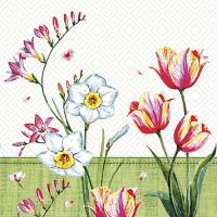 Servietten, 3-lagig 1/4-Falz 33 x 33 cm "Florentina"