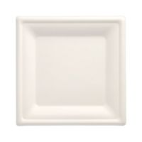 Zuckerrohr Teller eckig "pure" 20 x 20 cm weiss